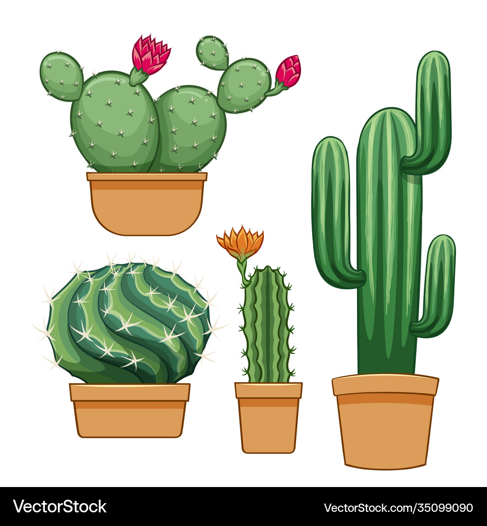 Cactus In Flowerpot Hand Drawn Set Collection Vector Image