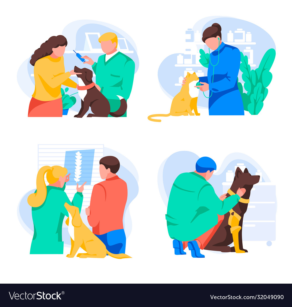 Pet treatment collection different veterinarians