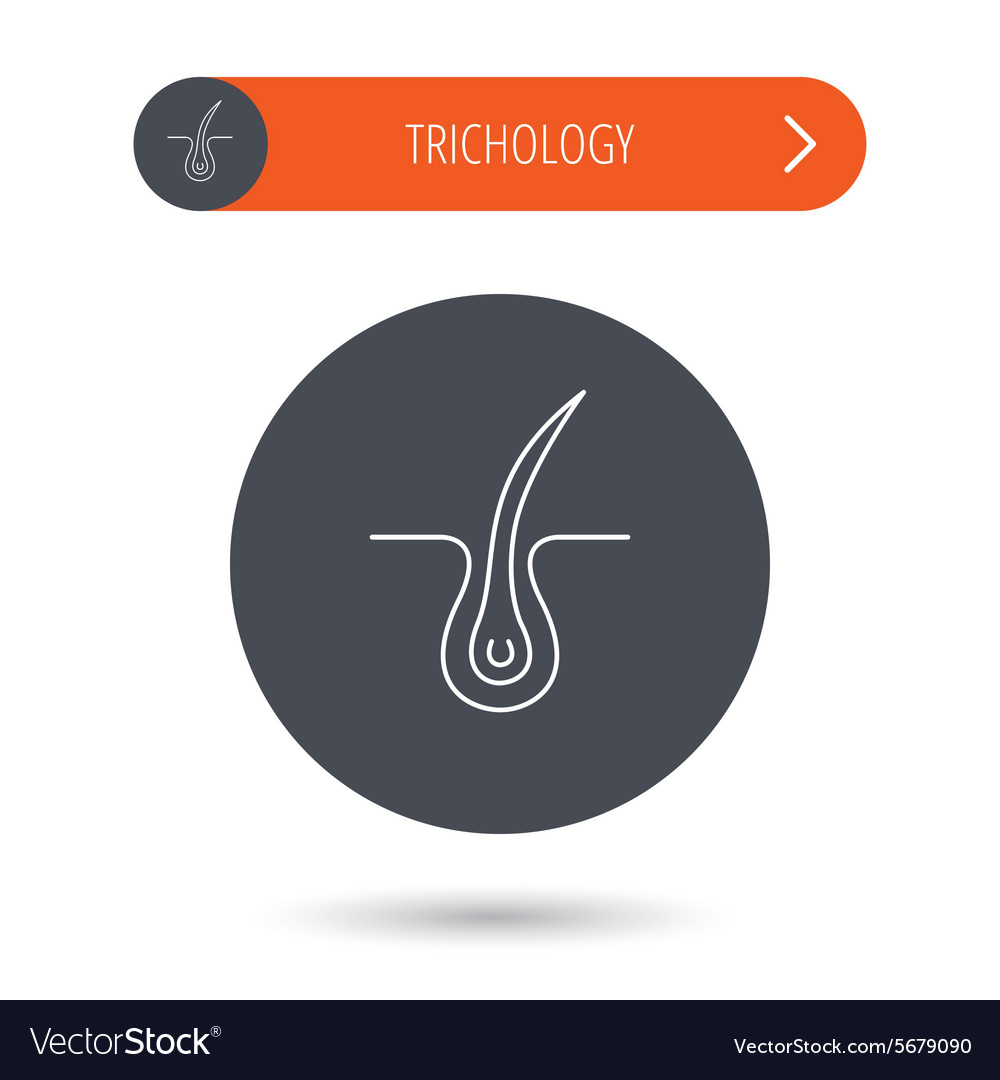 Trichology skin icon dermatology hair sign