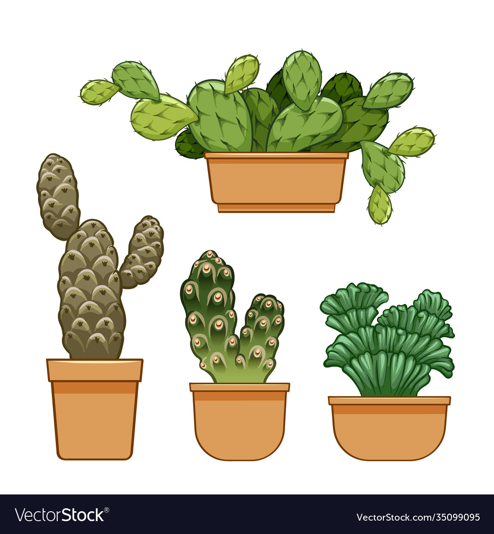 Cactus in flowerpot hand drawn set collection