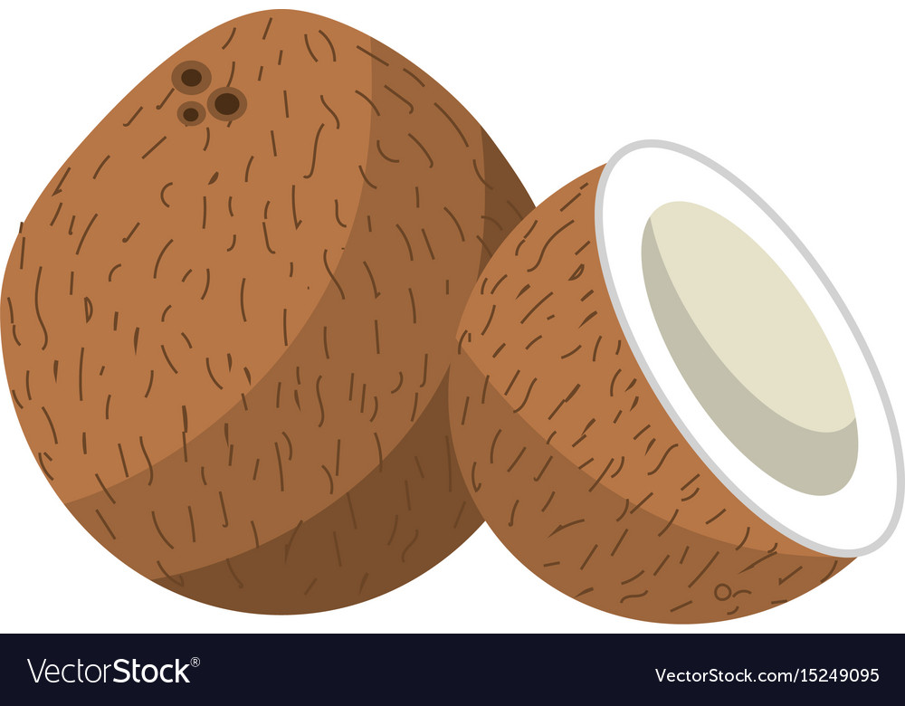 Coconot fruit with one slice