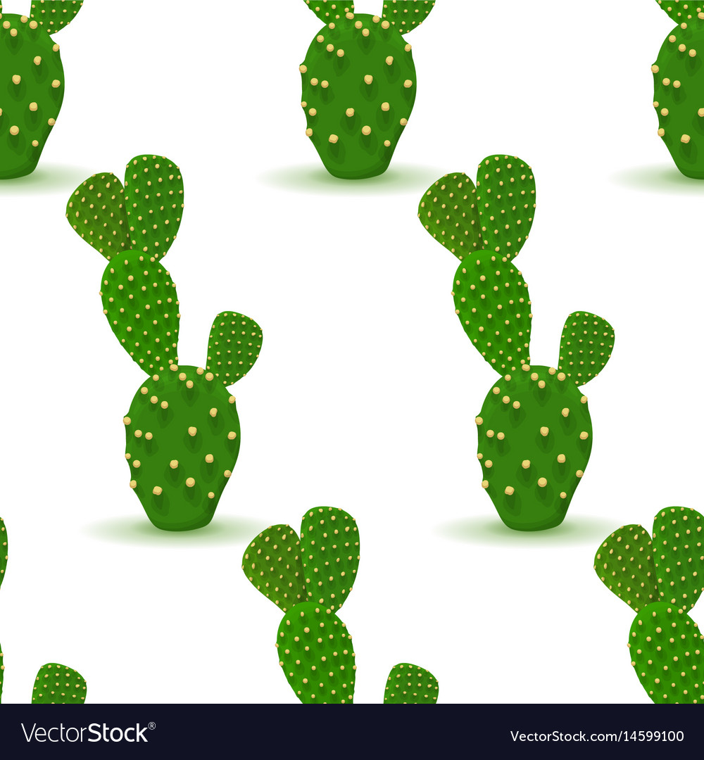 Cactus seamless pattern