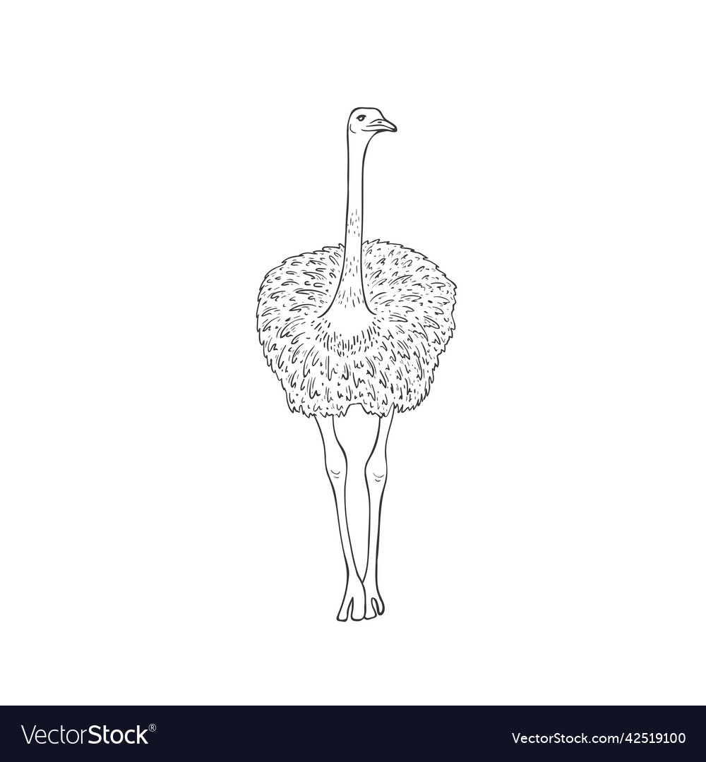 Eleganter Strauß auf Weiß