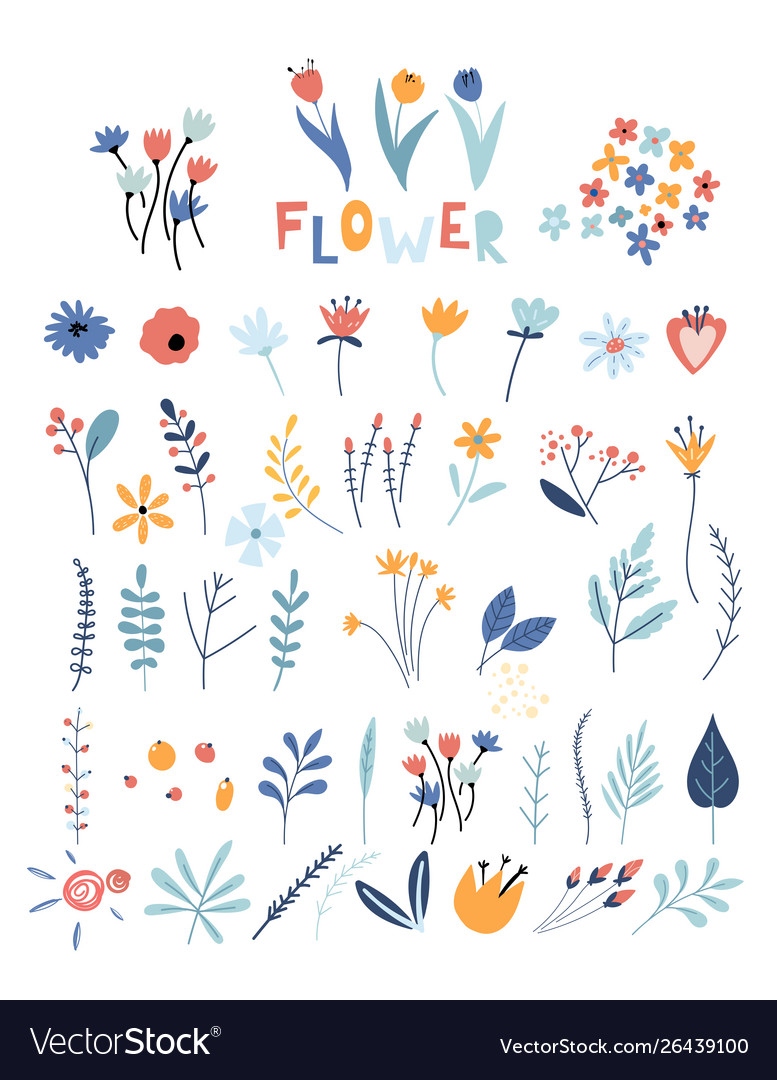 Set flowers and floral elements early spring Vector Image