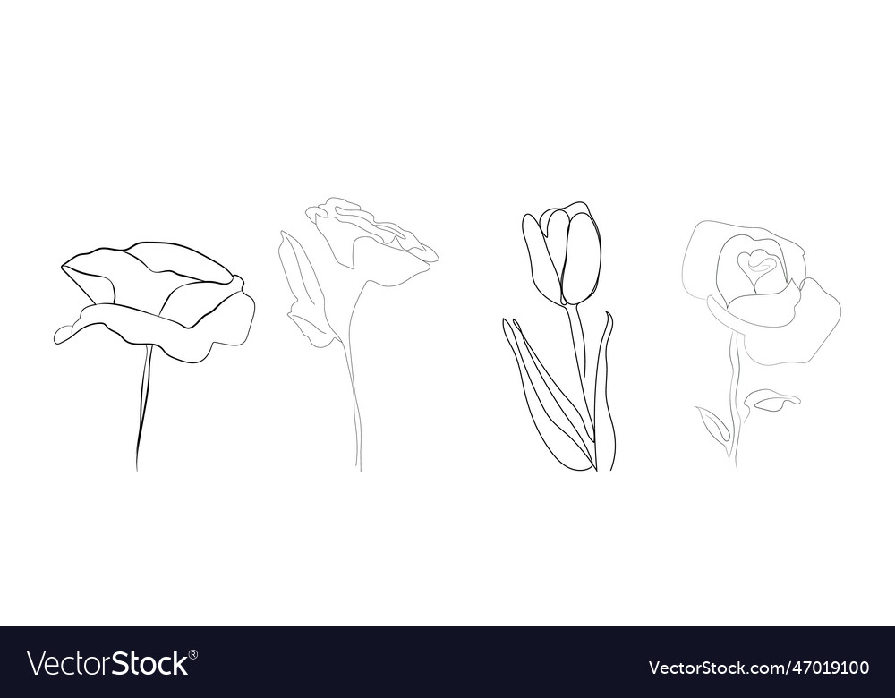 Set of flowers in line art style Royalty Free Vector Image