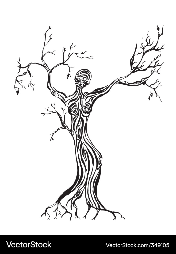 Abstract tree Royalty Free Vector Image - VectorStock