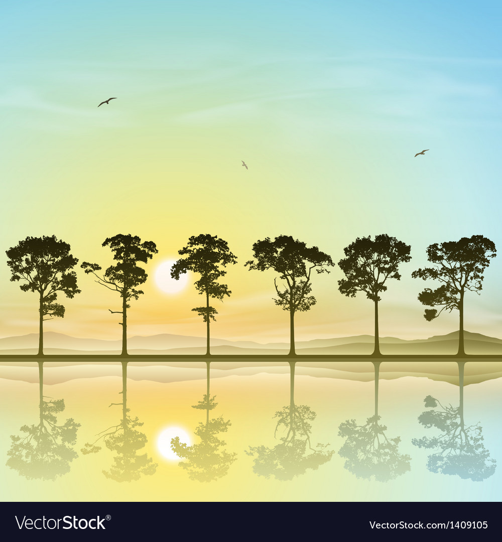 Line of trees
