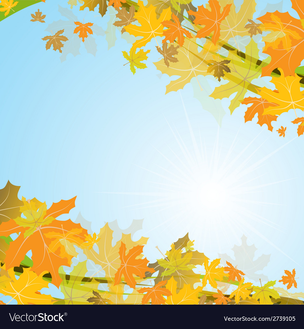 Maple autumn background Royalty Free Vector Image