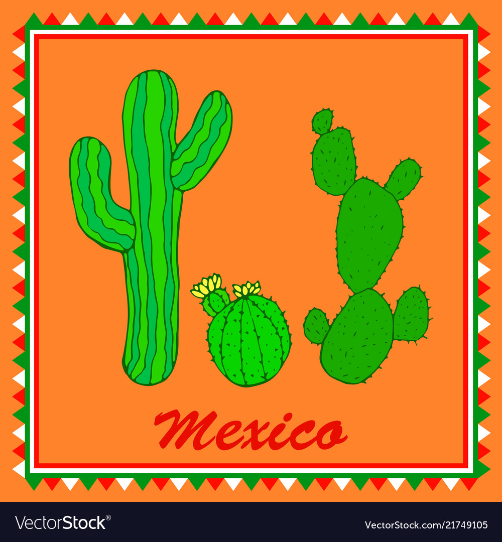 Three green cactuses on orange background