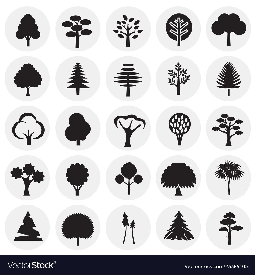 Trees icon set on circles background for graphic vector image Trees icon set on circles background for graphic