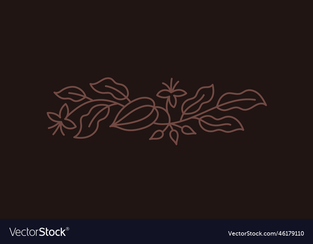 Chocolate candy box design element cocoa bean