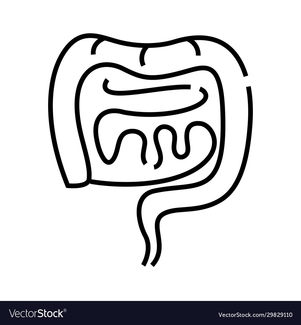 Intestinal tract line icon concept sign outline