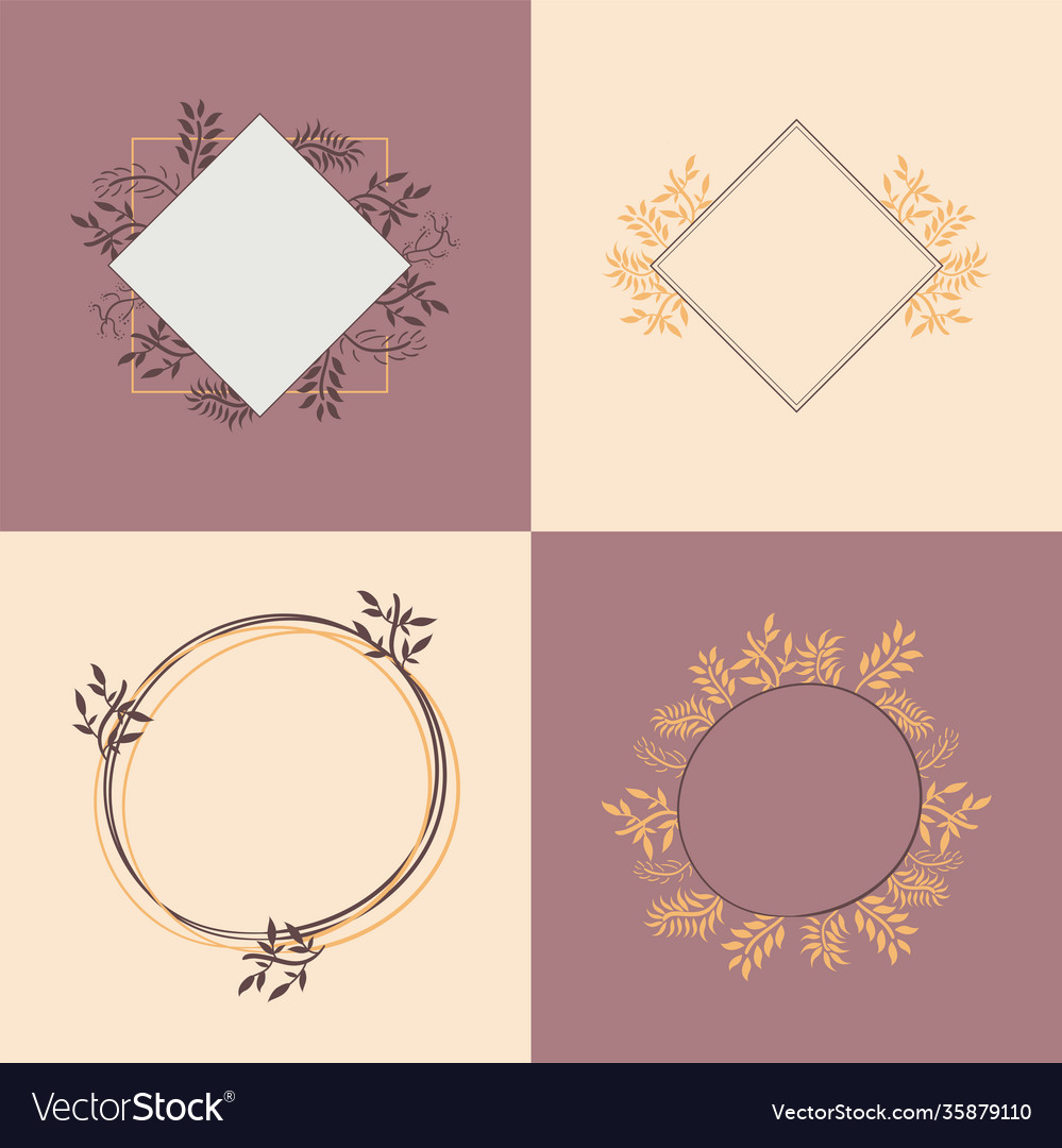 Set delicate monograms elegant with decoration Vector Image