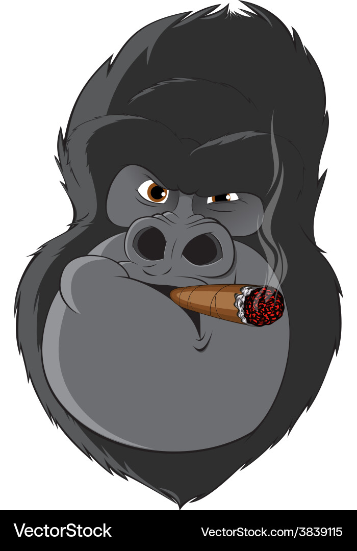 Monkey with a cigarette Royalty Free Vector Image