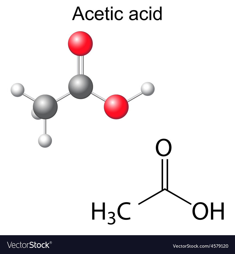 Formula and model of acetic acid molecule Vector Image