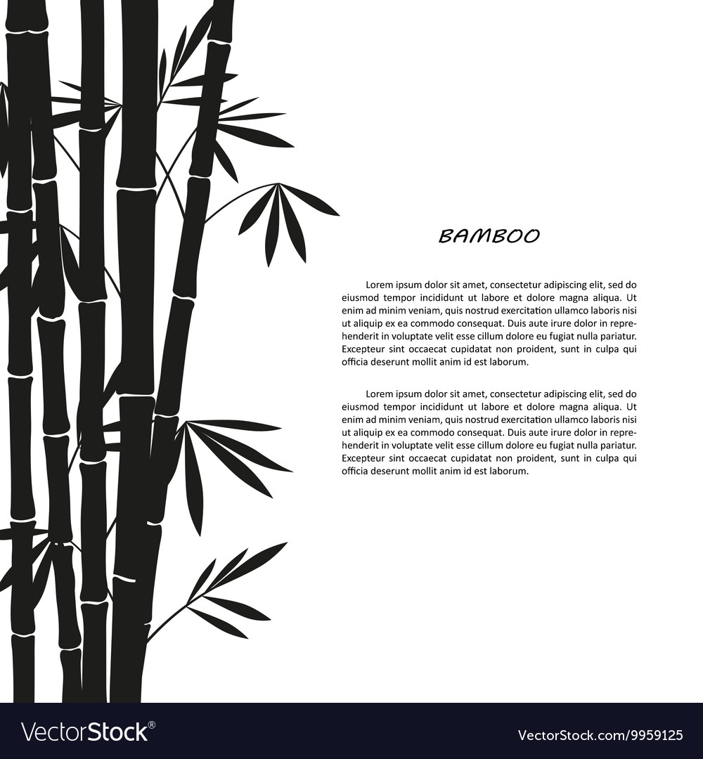 Black Bamboo Silhouette On A White Background Vector Image 