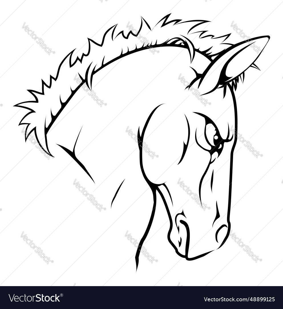 Horse mascot character Royalty Free Vector Image