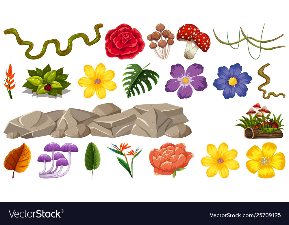 Set nature object