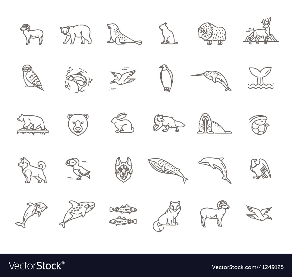 Set of linear arctic animals Royalty Free Vector Image