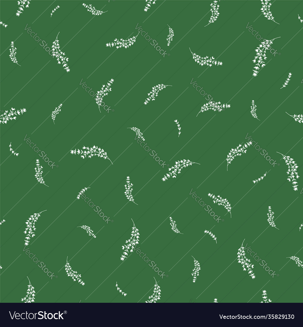 Seamless pattern with thyme sprigs and branches