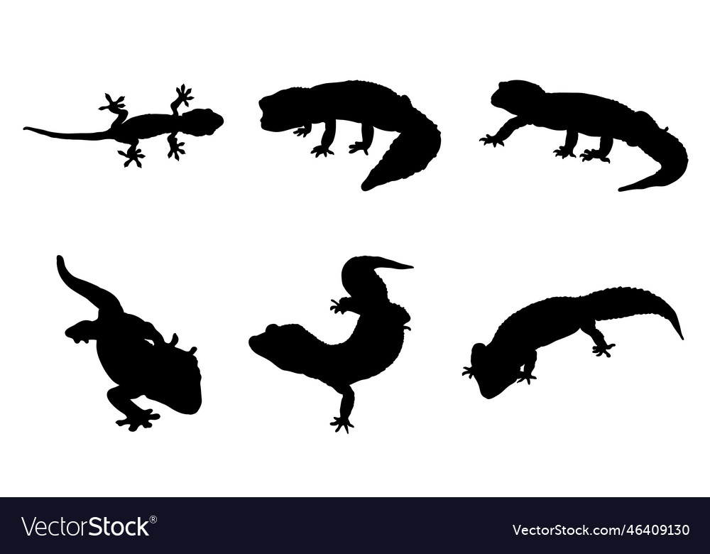 Set of silhouettes geckos Royalty Free Vector Image