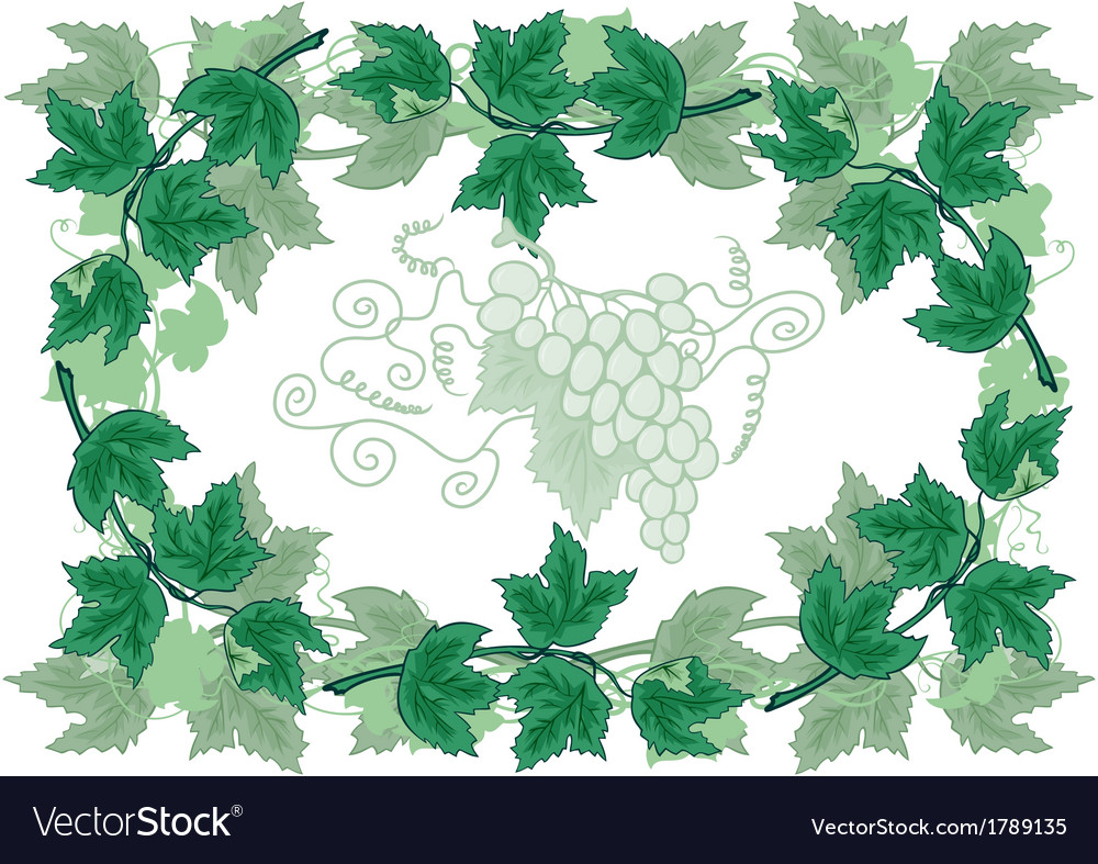 Abstract frame from grapevines