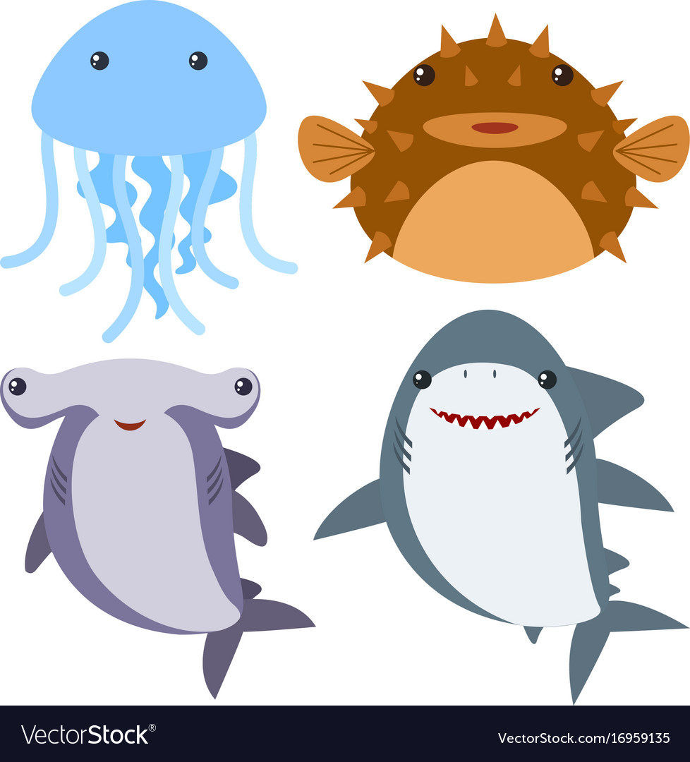 Sea animals on white background