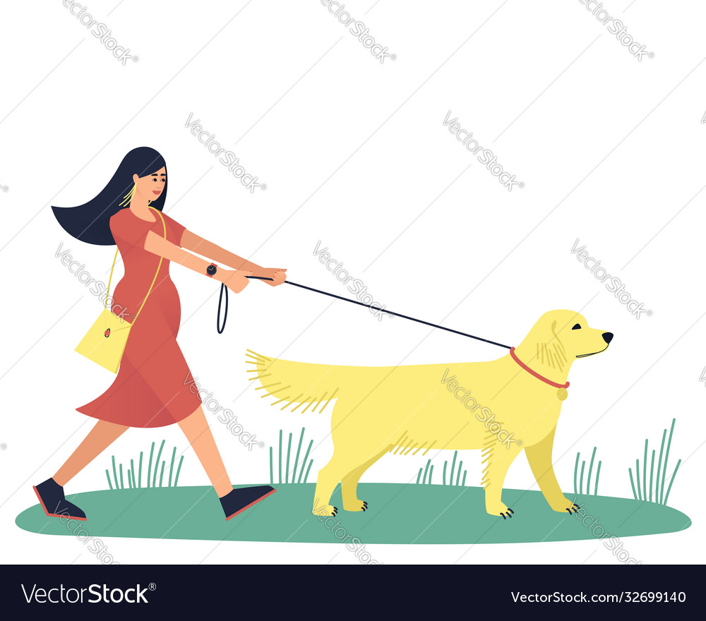 Eine Frau geht mit ihrem geliebten Hund Labrador vector image Eine Frau geht mit ihrem geliebten Hund Labrador