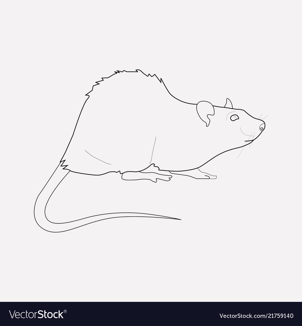 Rat icon line element of vector image Rat icon line element of