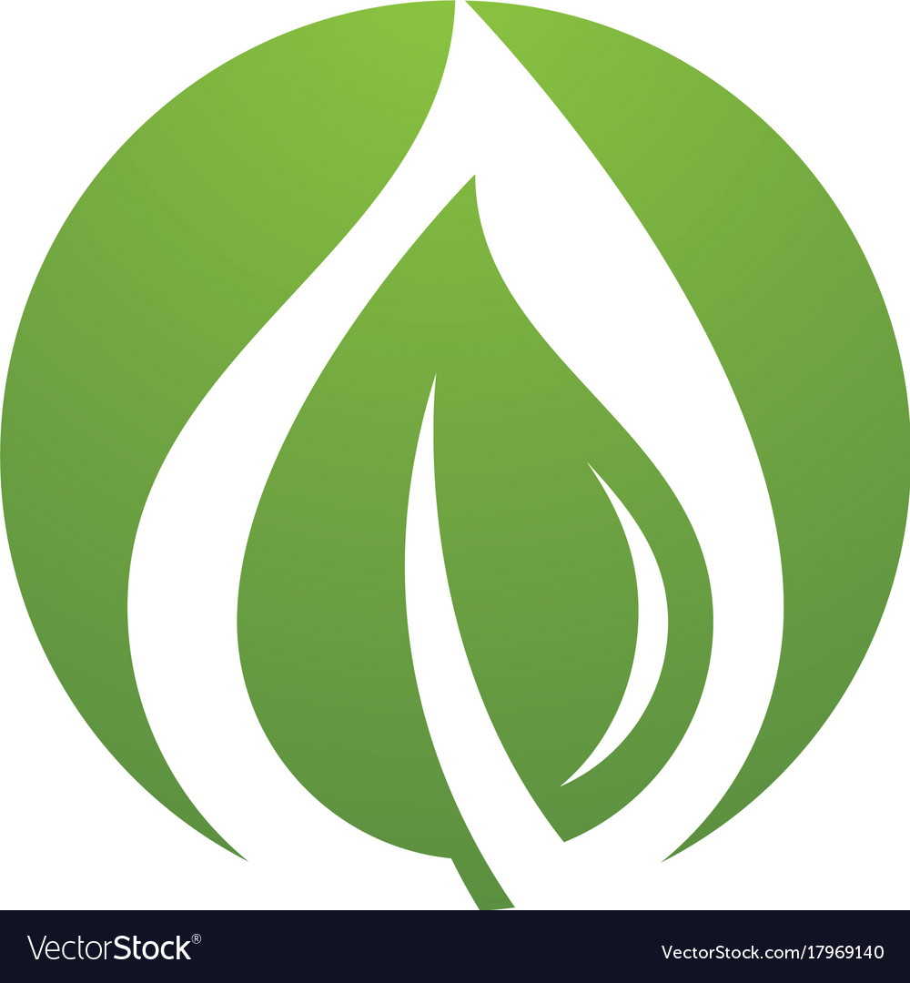 water drop logo template royalty free vector image water drops template