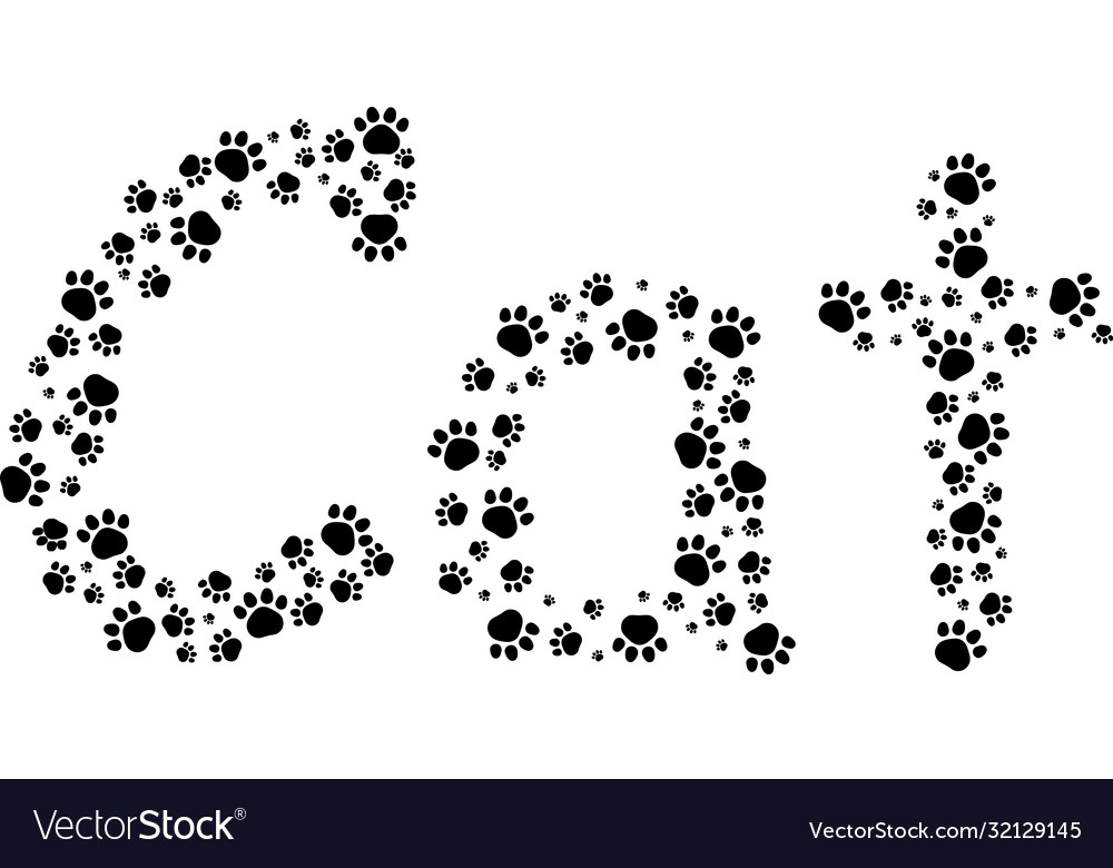 Cat text using paw prints