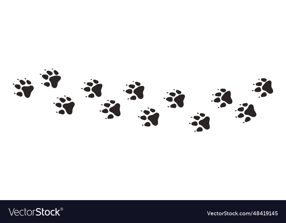 dog-paws-animal-paw-prints-different-royalty-free-vector