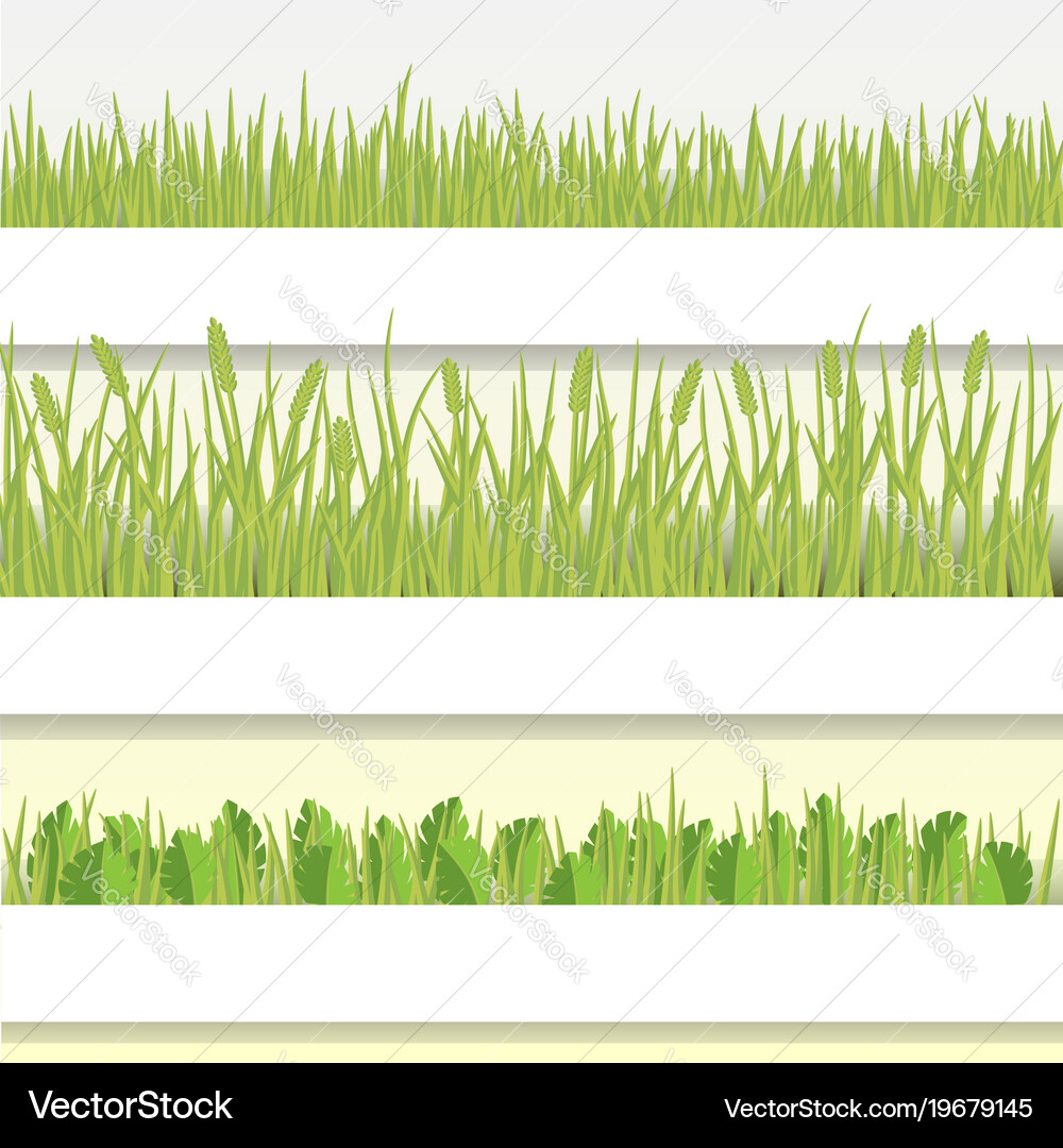 Green grass set Royalty Free Vector Image - VectorStock