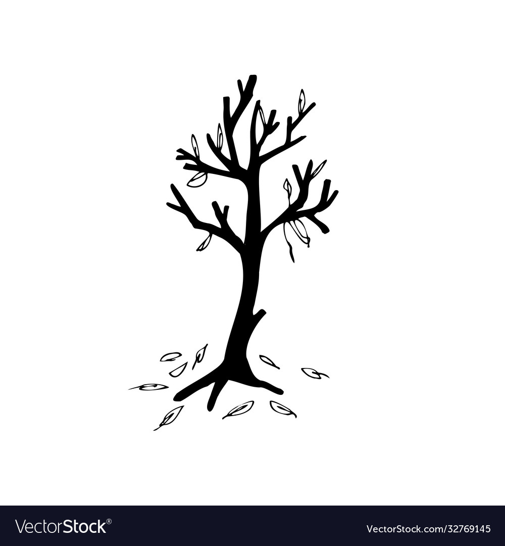 Hand-drawn doodle autumn tree falling leaves Vector Image