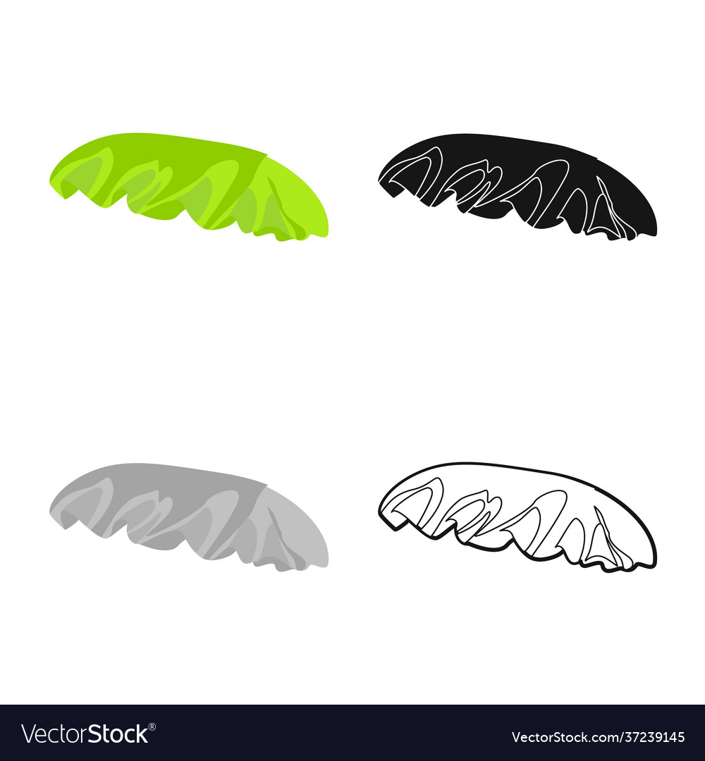 Isolated object bun and bread icon web element