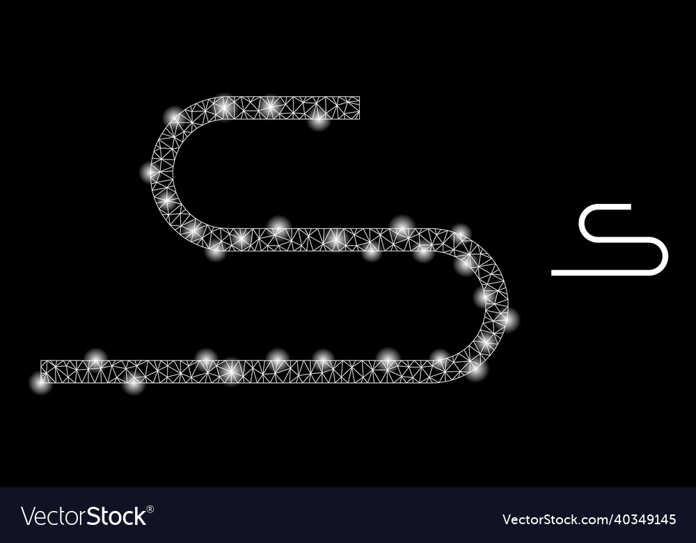 Mesh web cord with magic carcass dots vector image Mesh web cord with magic carcass dots