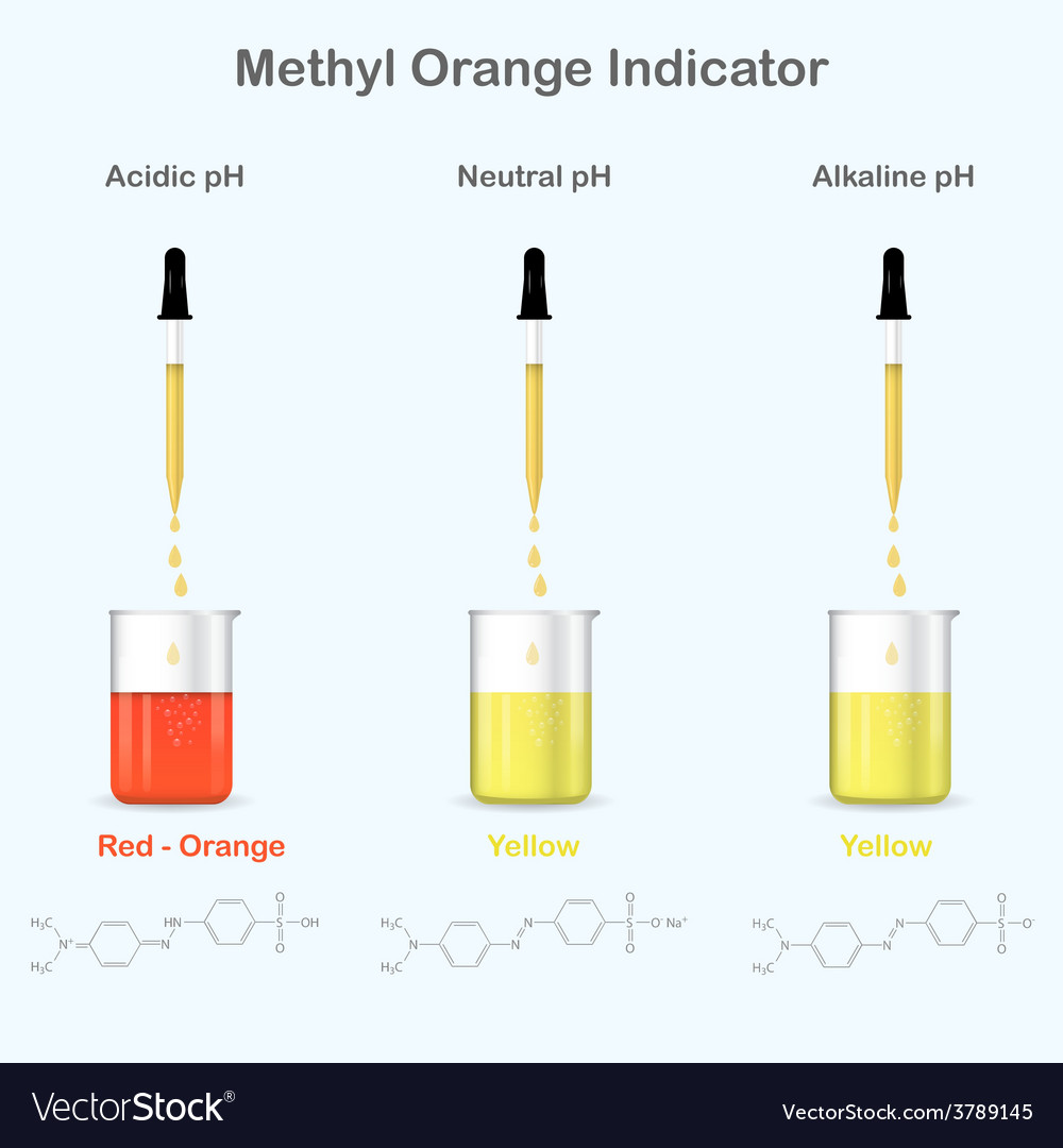 Methyl orange colors in media with different ph Vector Image