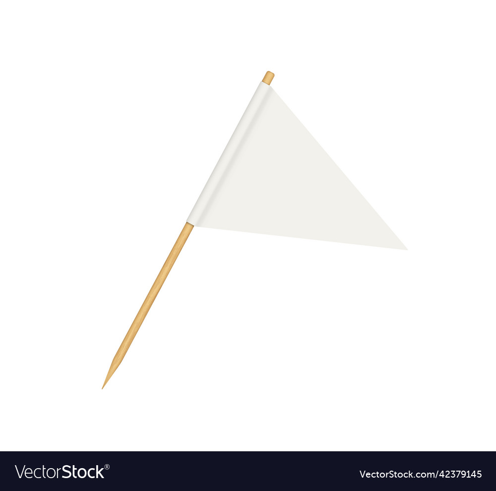 Toothpick flag blank flag on wooden stick wood Vector Image