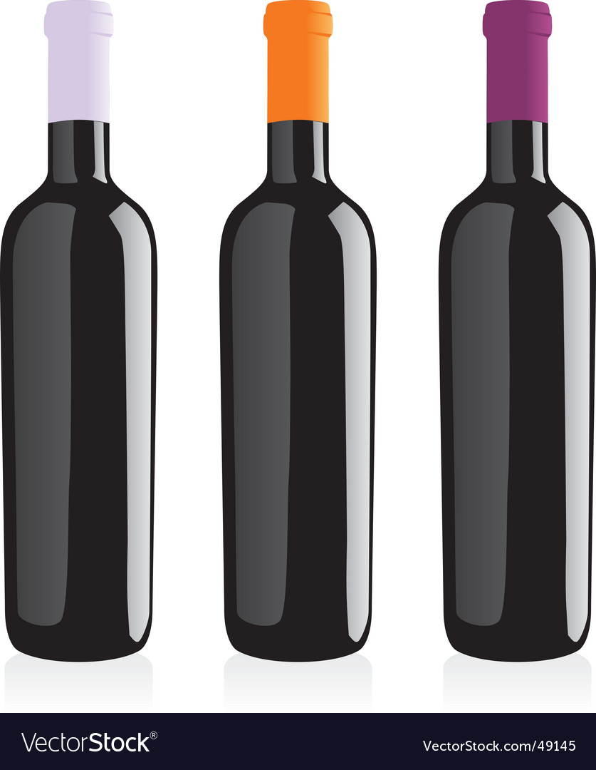 Wine bottles set