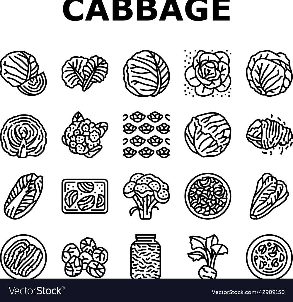 Cabbage natural vitamin food icons set Royalty Free Vector