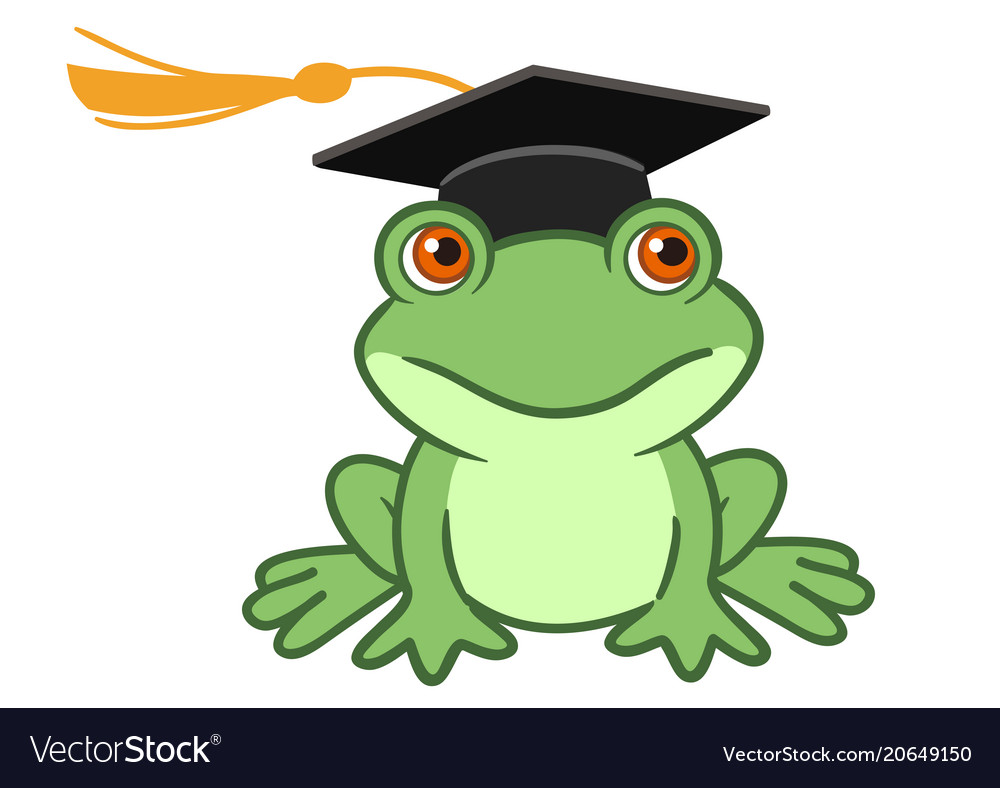 Frog with graduation cap Outlet