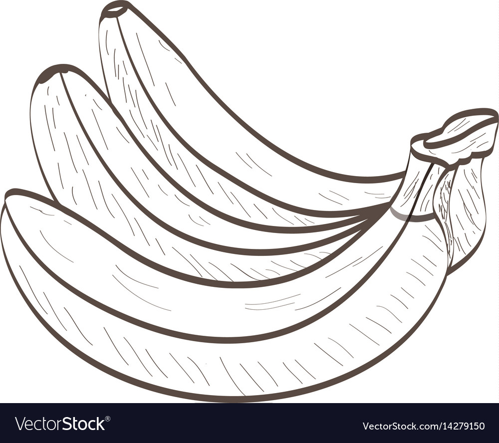 Isolated bananas outline Royalty Free Vector Image