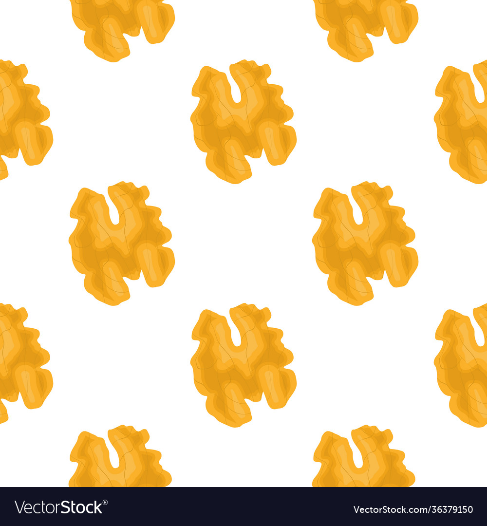 On theme big pattern identical types walnut vector image On theme big pattern identical types walnut