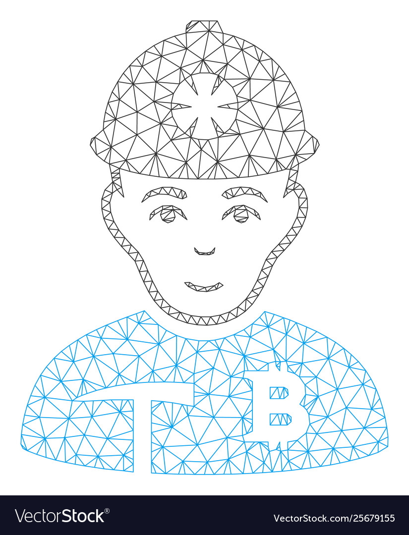 Bitcoin miner mesh network model vector image Bitcoin miner mesh network model