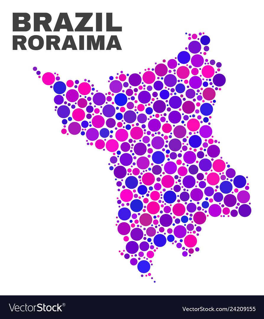 Mosaic roraima state map of round dots vector image Mosaic roraima state map of round dots