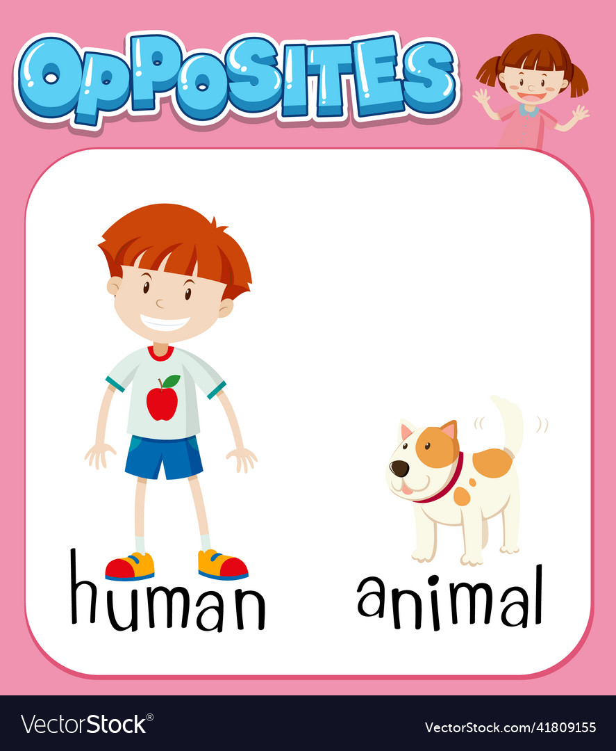 Opposite words for human and animal Royalty Free Vector