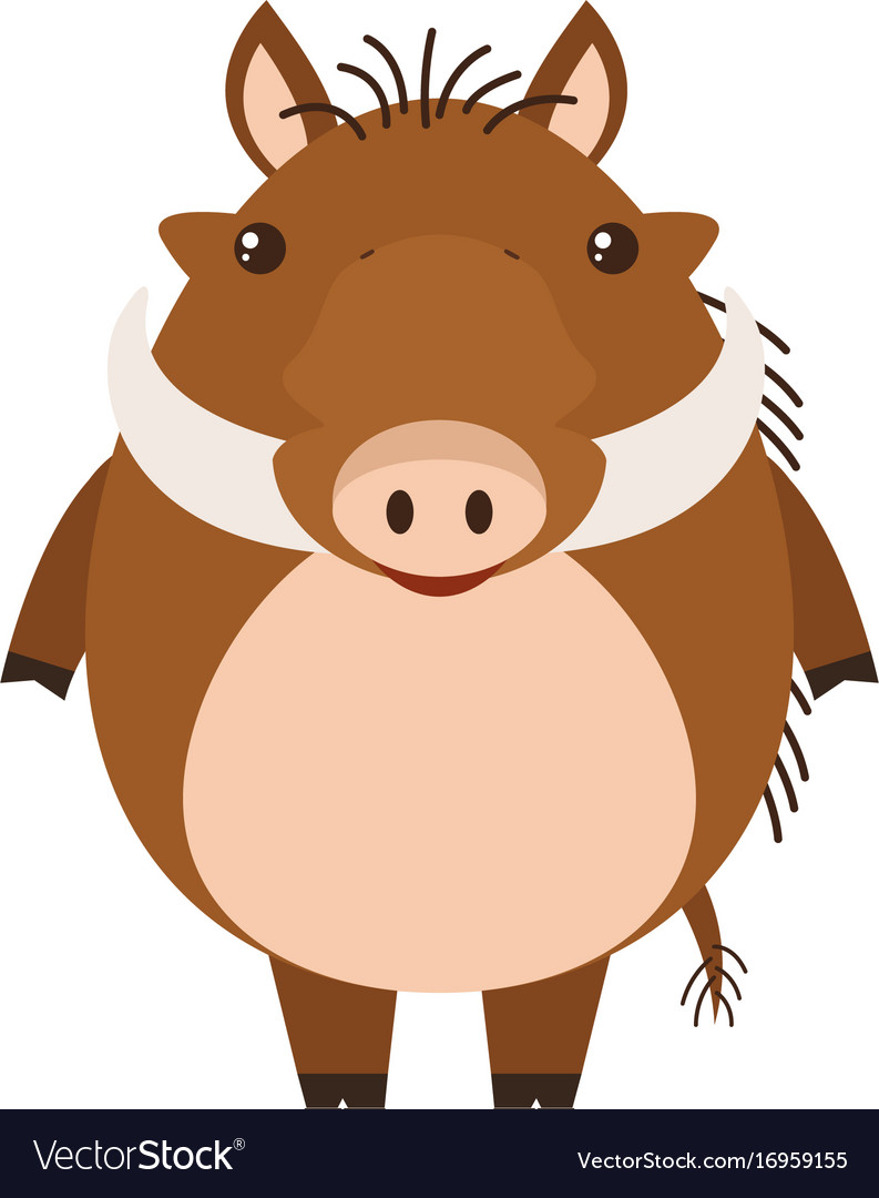 Warthog on white background Royalty Free Vector Image