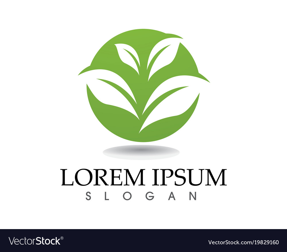 tree leaf logo design eco friendly concept vector image