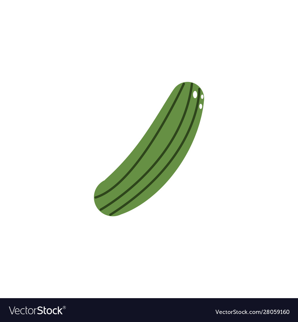 Vegetable cucumber flat style icon