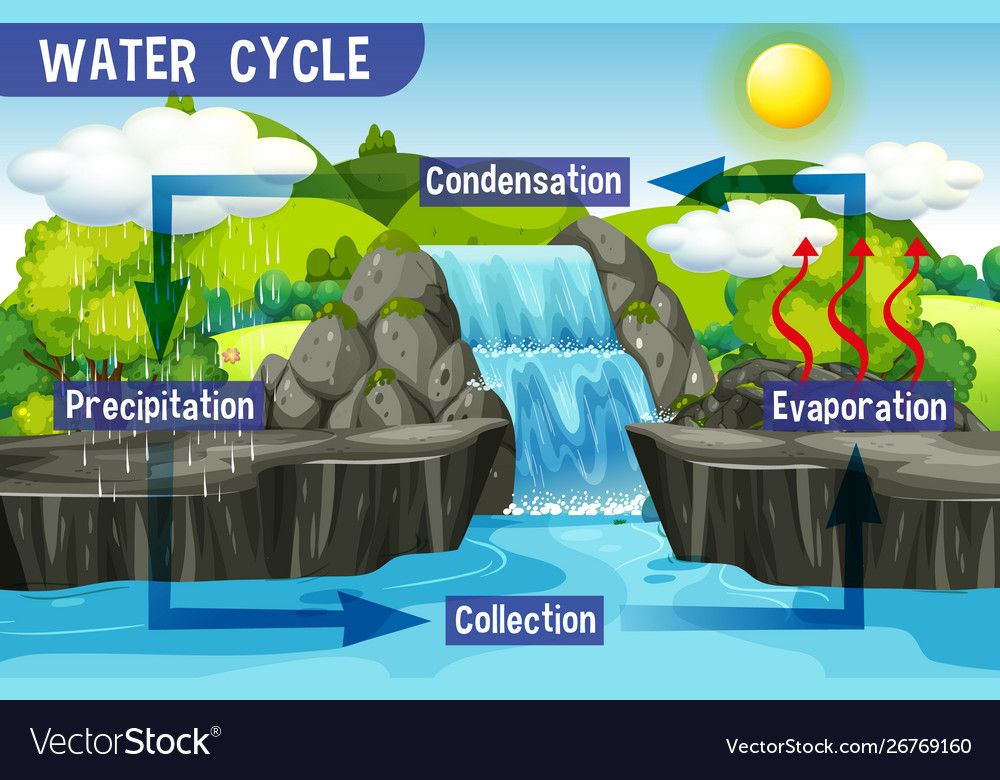 Water cycle process on earth - scientific Vector Image